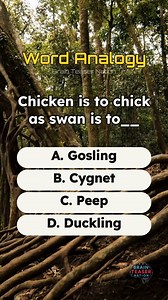 Word Analogy 42 #analogy #quiz #logic #brainteaser #iqtest | Brain Teaser Nation