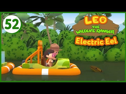 Electric Eel - Leo The Wildlife Ranger (Episode 51)
