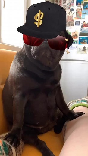 OGPUGG (@ogpugg)’s videos with Big Fat Moma - Python Lee Jackson