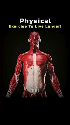 Physical Exercise To Live Longer 💪💀 #Shorts #Biology #Space #Astronomy #Universe #Health