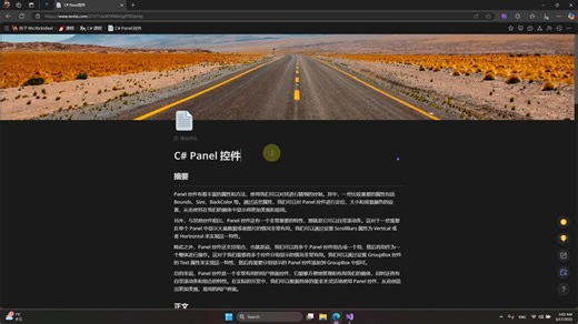 C# Panel控件