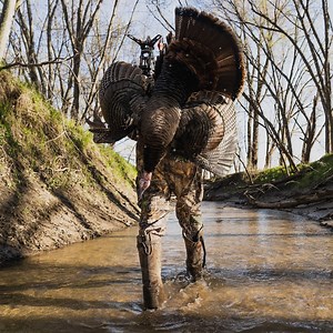  New Show Alert: Chasing Red  Embark on an epic journey with...