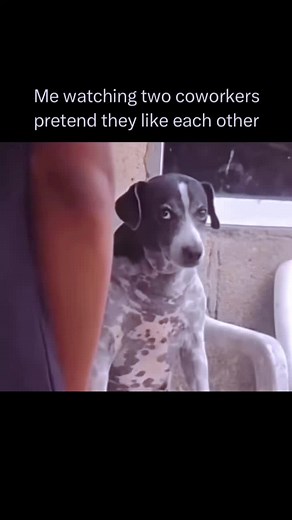 Workplace Humor & Coworker Friendships
