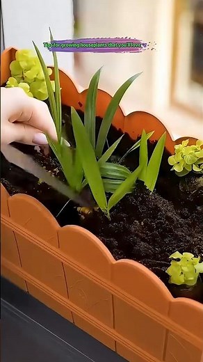 Grow Plants at Home from Kitchen Waste 🌿 (Easy Gardening Hacks)