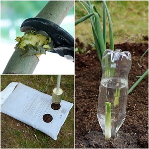 1.5M views · 2K reactions | Genius hacks for garden lovers! | MetDaan | Facebook
