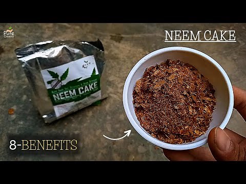 8 Healing BENEFITS of Neem Cake For Plants! (USE THIS WAY)