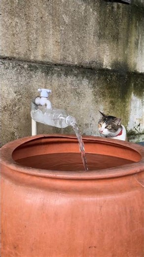 DIY Plastic Bottle Faucet Extender: No More Splash-Mess!