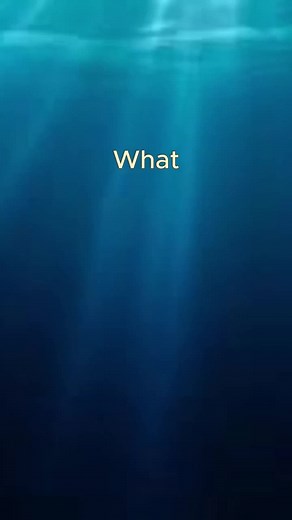 Discovering the Leviathan: A Biblical Sea Creature Unveiled