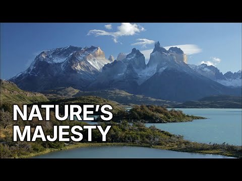 Wild Faces of the Andes | From Glaciers to Wetlands | Nature’s Majesty
