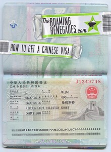 Chinese Passport Renewal Form Download