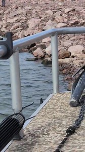 82K views · 432 reactions | Update Oct 6 2023 paddlefish snagging gavins point dam Yankton south dakota | Stromquist Outdoors | Facebook