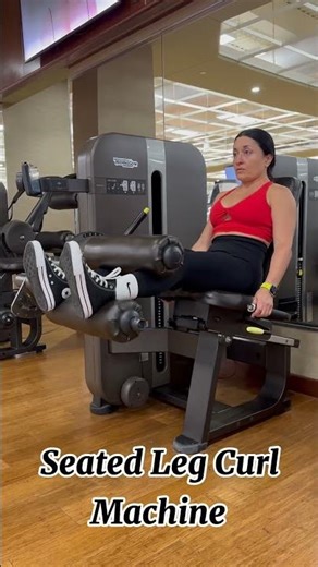 Seated Leg Curl Machine