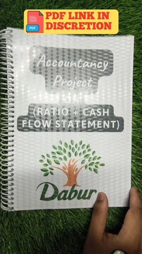 Accountancy Project File Class 12th (Dabur Ltd) #project #viral #trending #schoolproject