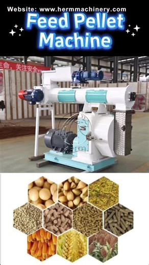 Feed Pelle Mill machine for sale #feedmill #feedmillmachine #feedproductionlineequipment #feedprossingmachine #feedpelletizer