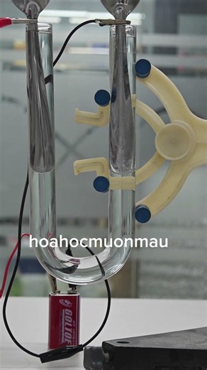 Electrolysis of water using H2SO4 to increase conductivity #chemistry #chemistry