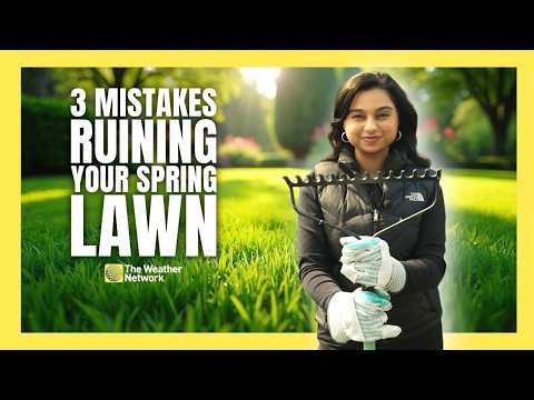 Stop! These 3 Common Mistakes Will Ruin Your Lawn This Spring