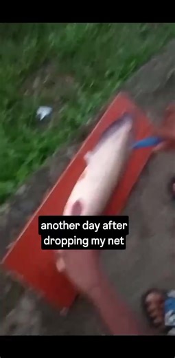 another day after dropping my net flood enjoyment | Ebikonboere Ali Don Prince