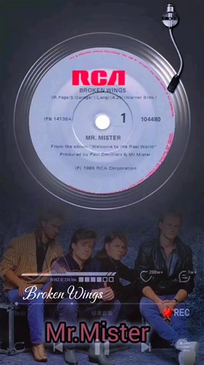 #80s #80smusic #mrmister #brokenwings #foryoupage | 80s Music