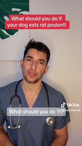 Rat Poison consumption is a very common occurrence and it kills. The longer you wait to seek veterinary care, the higher the chances that your animal will die. Here are a few tips if your pet eats rat poison. | Tails of Hope - Animal Rescue