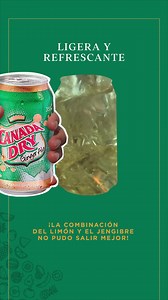 Sin duda nuestra Canada Dry Ginger Ale es una mezcla de frescura y ligereza ideal para cualquier comida y a cualquier hora.✨ #CaeBienConTodo #SaberElegir | Canada Dry Panama | Facebook