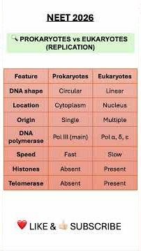 Prokaryotic vs Eukaryotic DNA Replication | Class 12 Biology | NEET 2026 | NCERT
