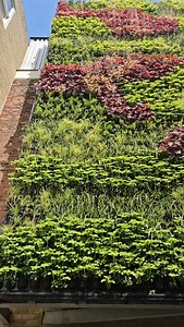 Just admiring a wall. @chiswickcinema | The Jeremy Vine