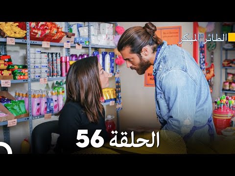 مسلسل الطائر المبكر الحلقة 56 (Arabic Dubbed) - FULL HD