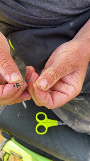 121K views · 490 reactions | HOW TO TIE a Helicopter Feeder Rig with Jamie Harrison! | Fish Matrix | Facebook