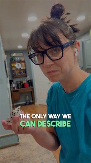 We Freeze Dried Yellow Dragon Fruit! #freezedried #freezedrieddragonfruit #freezedrying #freezedry #freezedriedfruit #freezedryer #harvestright #freezedriedsnack #sharethis #viral Ja'Mae Pehrson-Whiteleather | Whitepepper Farms Homestead