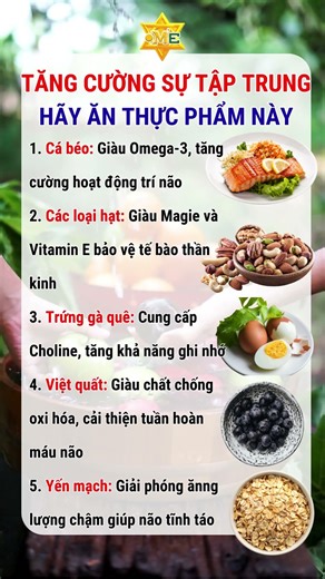 THỰC PHẨM KÍCH THÍCH NÃO BỘ, TĂNG CƯỜNG TRÍ NHỚ VÀ SỰ TẬP TRUNG