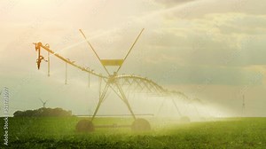 irrigation system watering a bean field. pivot irrigating a green corn field. Agricultural irrigation system over agricultural field. lawn field and irrigation sprinkler.