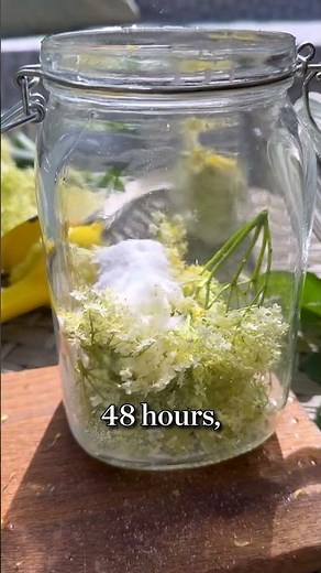 It's elderflower season! Here's how to make a summery cocktail liqueur