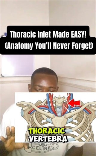 Master the Thoracic Inlet Fast! 💡 Simple Breakdown #humananatomy #nurse