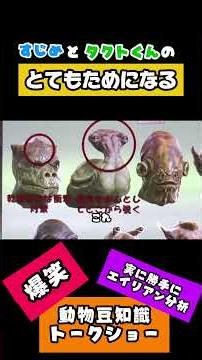 すじめとタクトくんのためになる爆笑動物豆知識トークショーです！トークショーに出てきた宇宙人を生き物好きとして徹底分解！