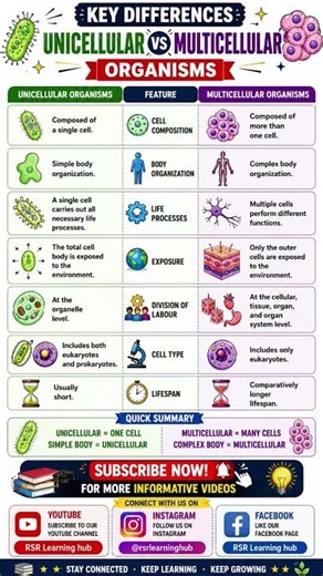 Unicellular vs Multicellular Organisms |Quick Science Revision Subscribe RSR Learning Hub #Biology