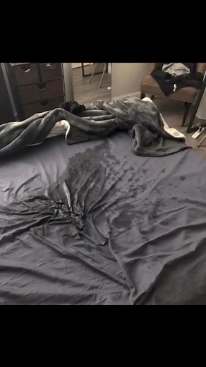 What really happend here? | AR Multimedia Studios | Facebook