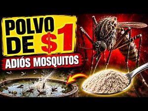 Polvo De $1: Adiós Mosquitos En Solo 24 Horas