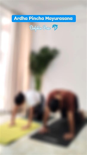 One yoga pose, multiple benefits! ✅✨ #yoga #shorts