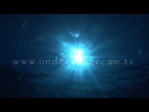 underwater sun shines through the oceans surface : sun001