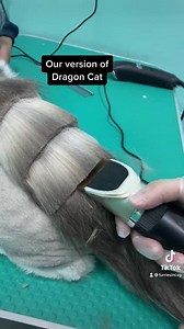 149 reactions · 126 shares | Dragoncut  Follow us on Tiktok: https://vt.tiktok.com/ZSJ4gJAYp/ | Furries Inc CAT grooming | Facebook