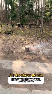 369K views · 580 reactions | Log Explosion?! | Crafty Panda | Facebook