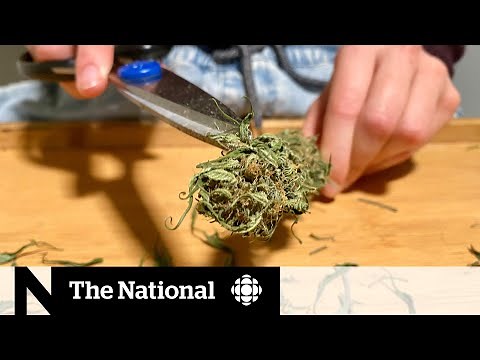 Study finds link between cannabis use and heart attacks in young people