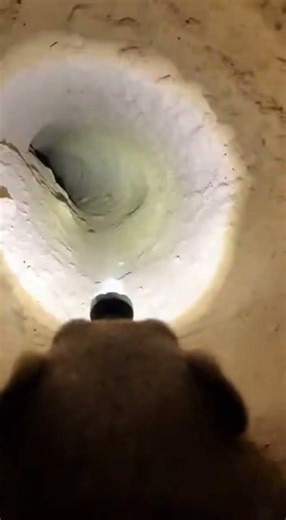 This Ground Squirrel Burrow Looks Empty… But It’s Not!