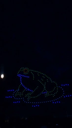 "Frog" 🐸 // PyroDrones // Drone Swarm