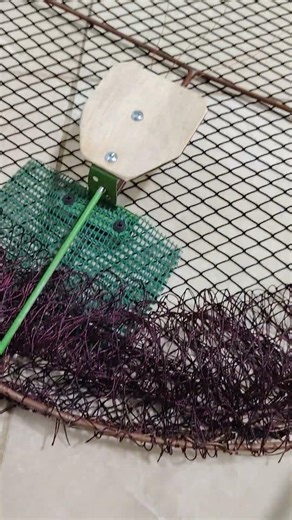 Large Oval Bird Trap Catching Net Catcher Humane Live Animal Trap Pigeon Sparrow