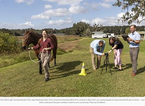 College of Veterinary Medicine » University of Florida