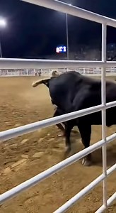 perfect dodge | Artificial Creation