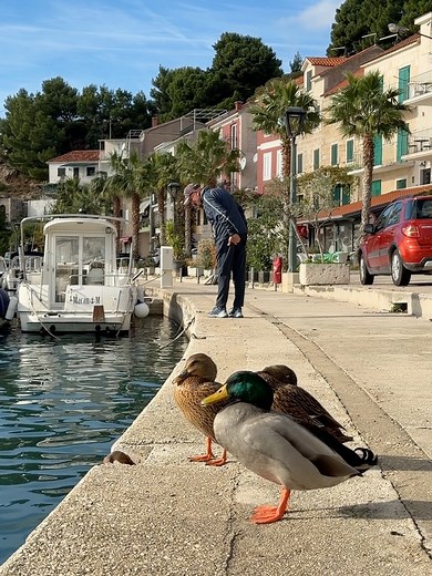 Makarska Riviera Beaches on Reels