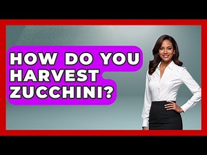 How Do You Harvest Zucchini? - The World of Agriculture