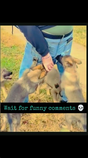 dogeshbhai #shorts #comedy #shortsfeed #viral